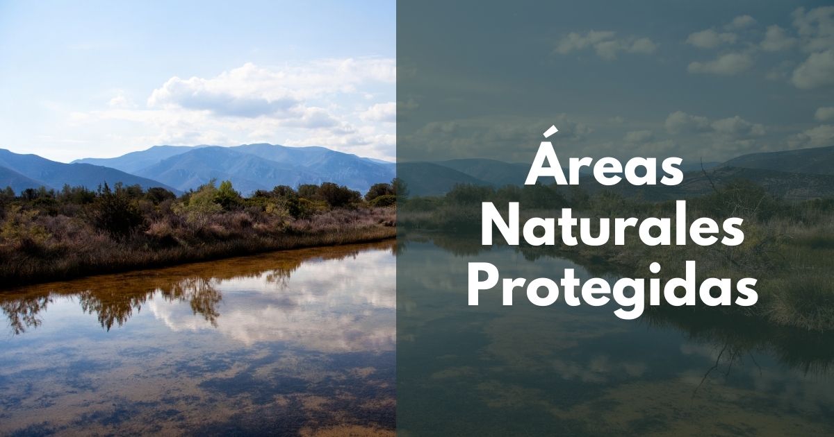 Áreas Naturales Protegidas